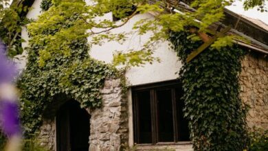 Pajtás Vendégház Örvényes 