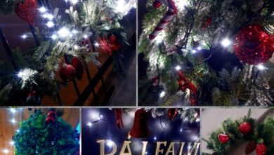 Pálfalvi MSz  Sztella Apartman Miskolctapolca 