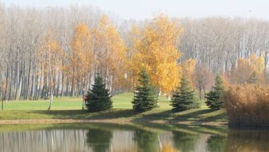 Pálya Apartman Bük 