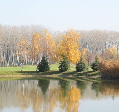 Pálya Apartman Bük 