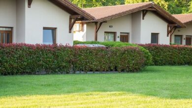 Pandora Zsóry Apartmanok Mezőkövesd 