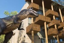 Pangea Hotel Nyíregyháza 