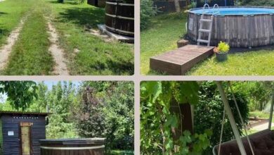 Panna Tanya Vendégház Tahitótfalu 