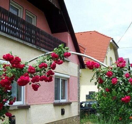 Panni Néni Apartman Balatonboglár 