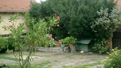 Panni Pihenőház Szentendre 