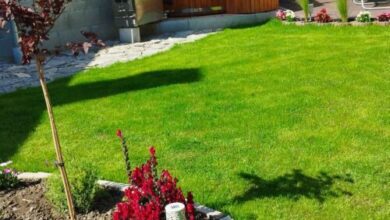 Pannonvitéz Apartman Pannonhalma 