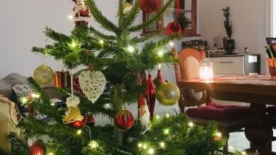 Panoráma Vendégház Bodony 