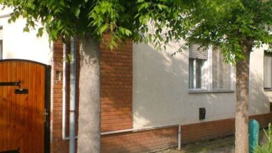 Pappné Jutka Vendégháza Gyula 