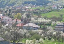 Papréte Vendégház Mályinka 
