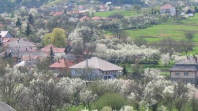 Papréte Vendégház Mályinka 