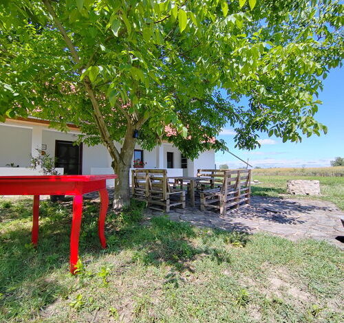 Parittyaház Homokmégy 