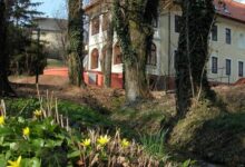 Park Villa Csopak 