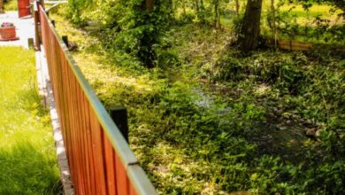 Patak Gyöngye Vendégház Szokolya 