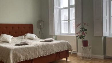 Patak & Stone Apartman Szentendre 