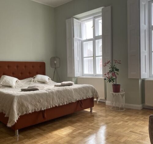 Patak & Stone Apartman Szentendre 