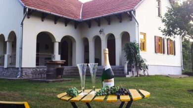 Patak Üdülőház Nagyvisnyó 