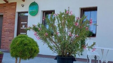 Patak Vendégház Zalaegerszeg 