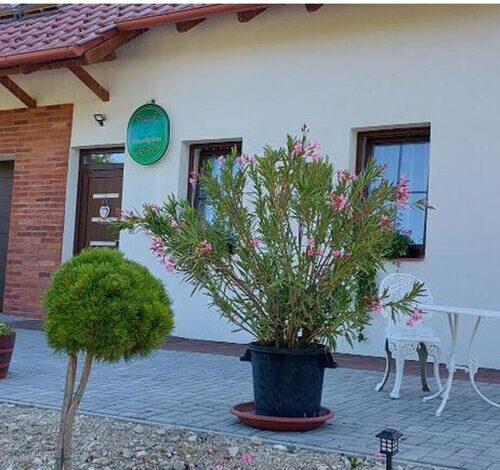Patak Vendégház Zalaegerszeg 