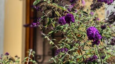 Pataki Porta Apartmanház Balatonederics 