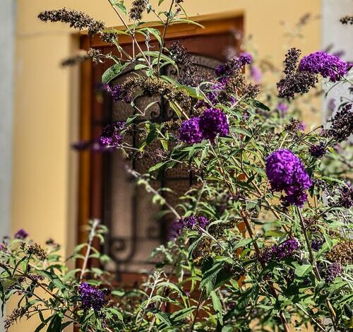 Pataki Porta Apartmanház Balatonederics 