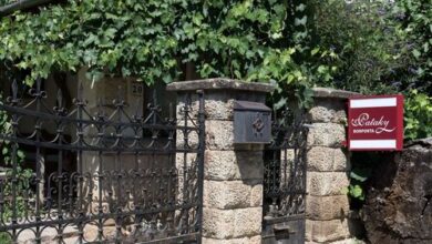 Pataky Borporta Tarcal 