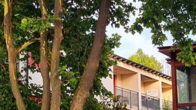 Patti Apartman Siófok 