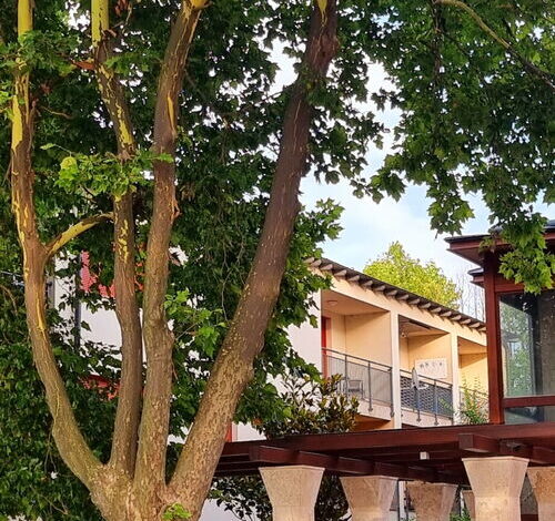 Patti Apartman Siófok 