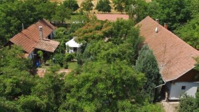 Páva Tanya és Vendégház Gyula 