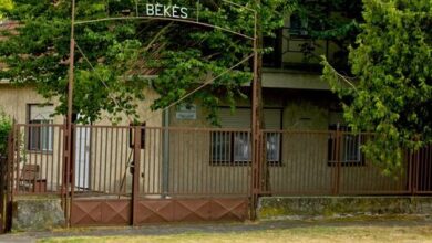 Peaceful Apartman Fonyód 