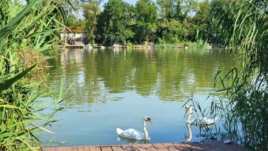 Pecó Kecó Ráckeve 