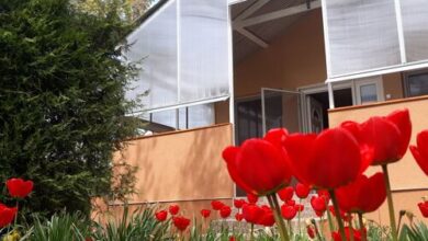 Peresi Vízparti Apartman Mezőtúr 