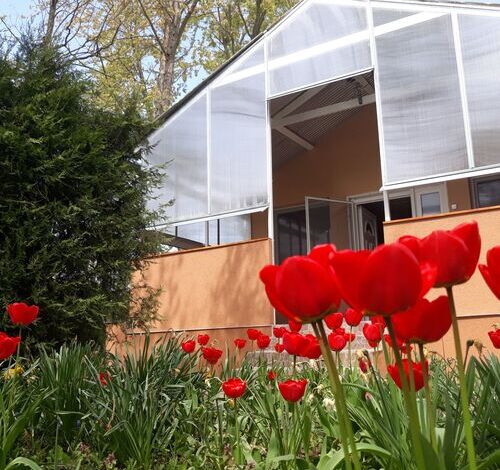 Peresi Vízparti Apartman Mezőtúr 