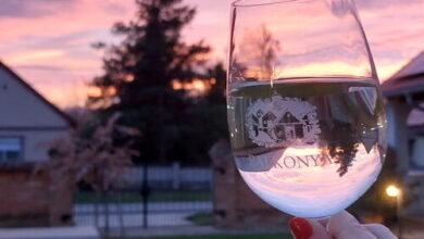 Pertu Porta Vendégház Palkonya 