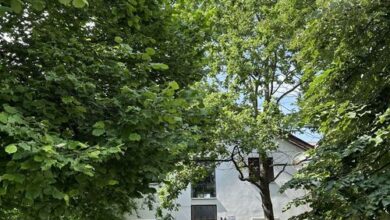 Petra Apartman Harkány 