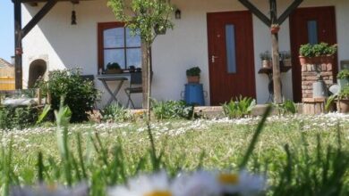 Petra Vendégház Sellye 