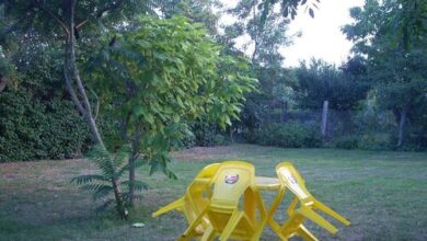 Piknik Apartman Abádszalók 