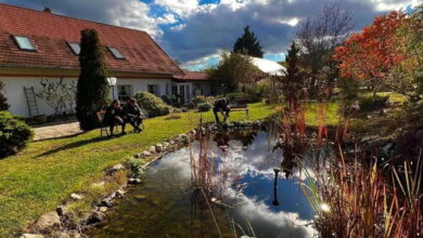 Pilisi Lovas Major Dorog 