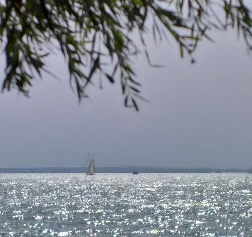 Pipitér Faház Balatonfűzfő 