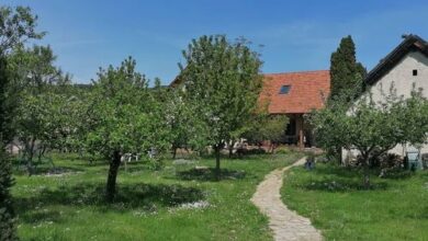 Pista Papa Tanyája Balatongyörök 