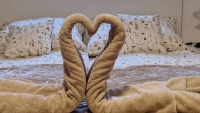 Pitypang Vendégház Dorog 