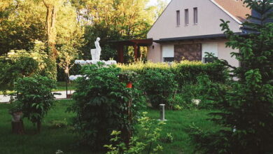 Pitypang Vendégház Kiskunfélegyháza 