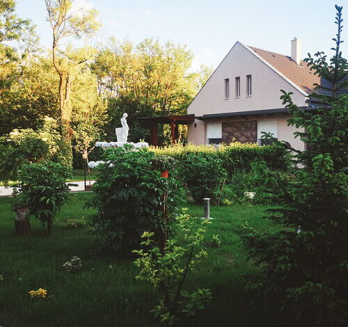 Pitypang Vendégház Kiskunfélegyháza 