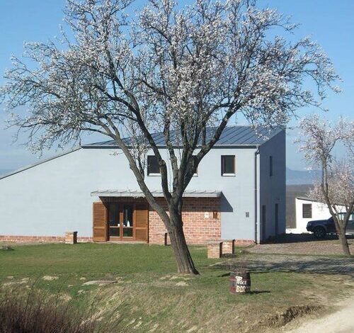 Pócz Pincészet Vendégház Balatonlelle 