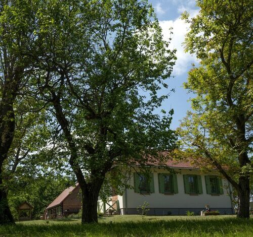 Pomper Porta Vendégház Kisrákos 