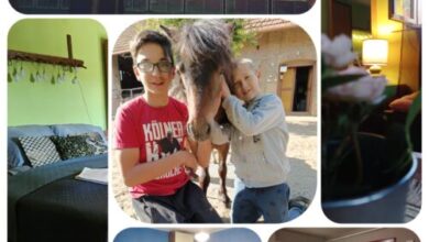 Póni Kuckó Vendégház és Minifarm Hosszúvölgy 