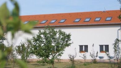 Pöttyös Tanya Csongrád-Bokros 