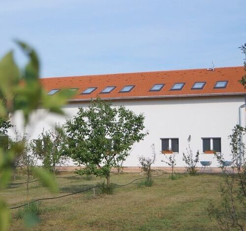 Pöttyös Tanya Csongrád-Bokros 