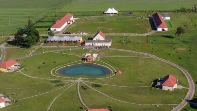 Pro Village - Franciska Major Vendégház Sopronkövesd 