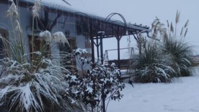 Puszta Gyöngye Vendégház Szarvas 