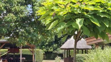 Puszta Vendégházak Tiszafüred 